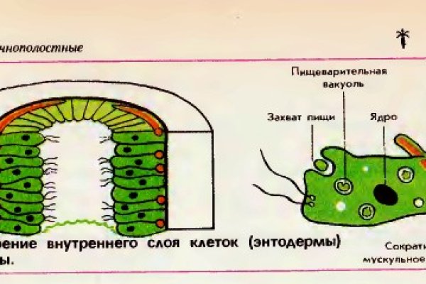 Почему не работает сайт блэкспрут