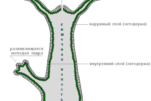 Сайт мега на торе